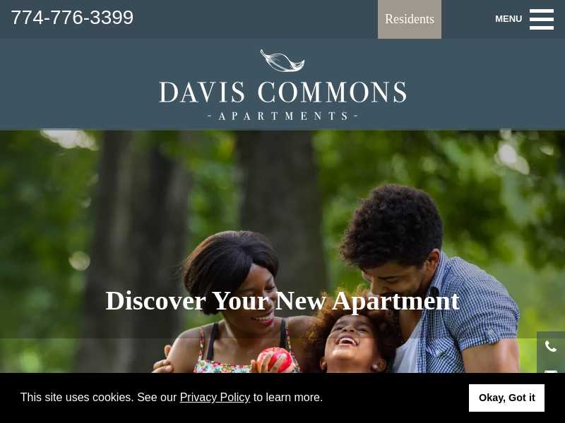 Davis Commons
