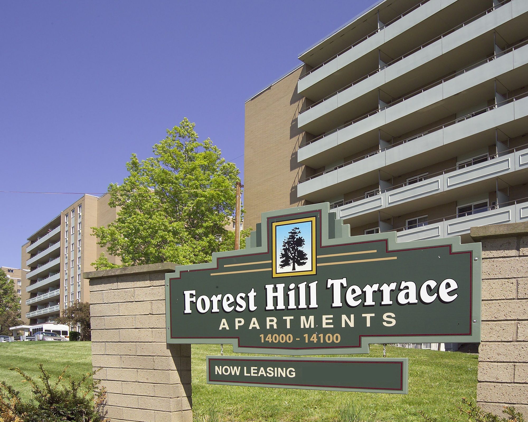 Foresthill Terrace
