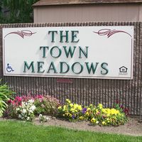 The Town Meadows